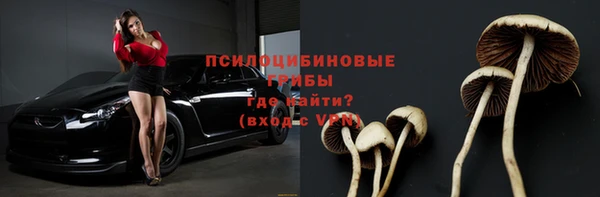 соль ск Алексеевка