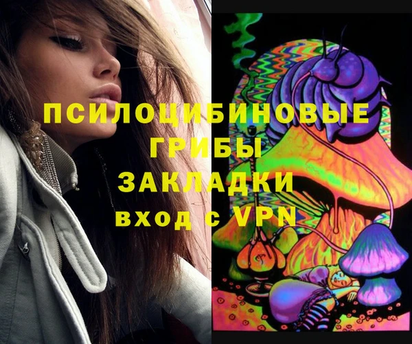 соль ск Алексеевка