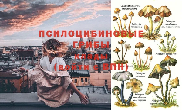 синтетический гашиш Абдулино