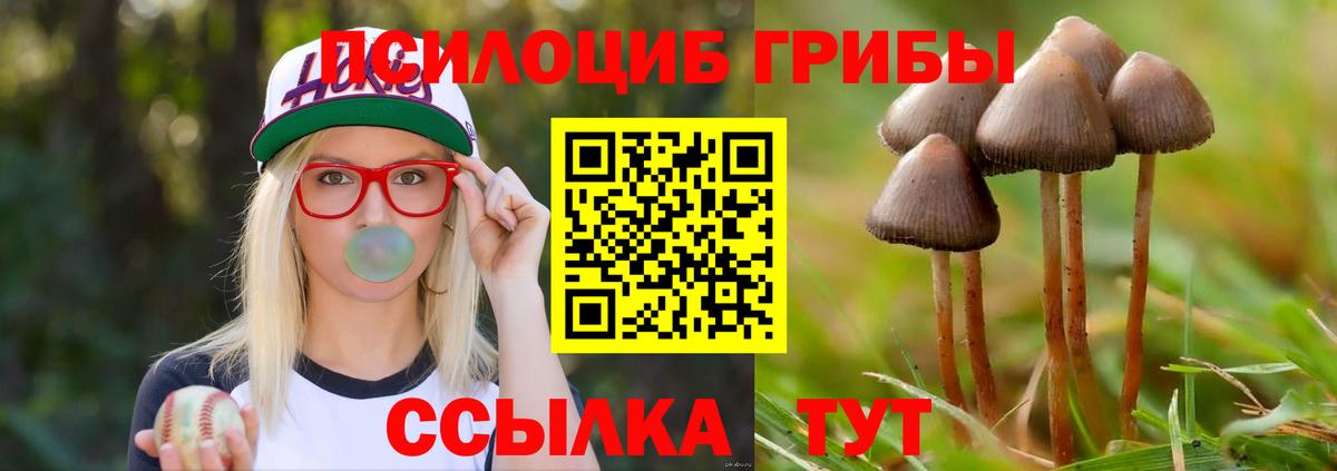 Галлюциногенные грибы Psilocybine cubensis  Псилоцибиновые грибы MAGIC MUSHROOMS  Вход с VPN  Благодарный 